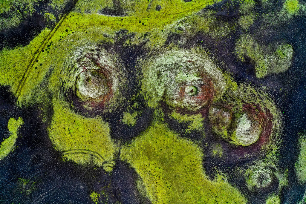 Earth’s Hidden Patterns