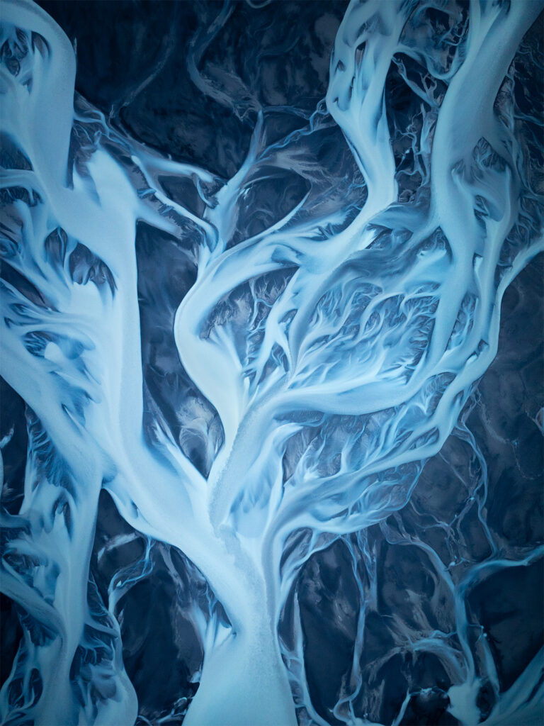 Bouquet of Flower Riverscape wide