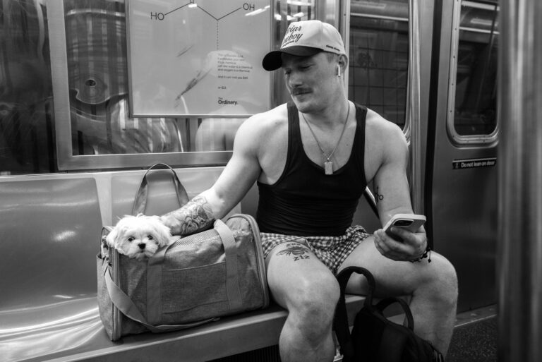 New York Short Stories