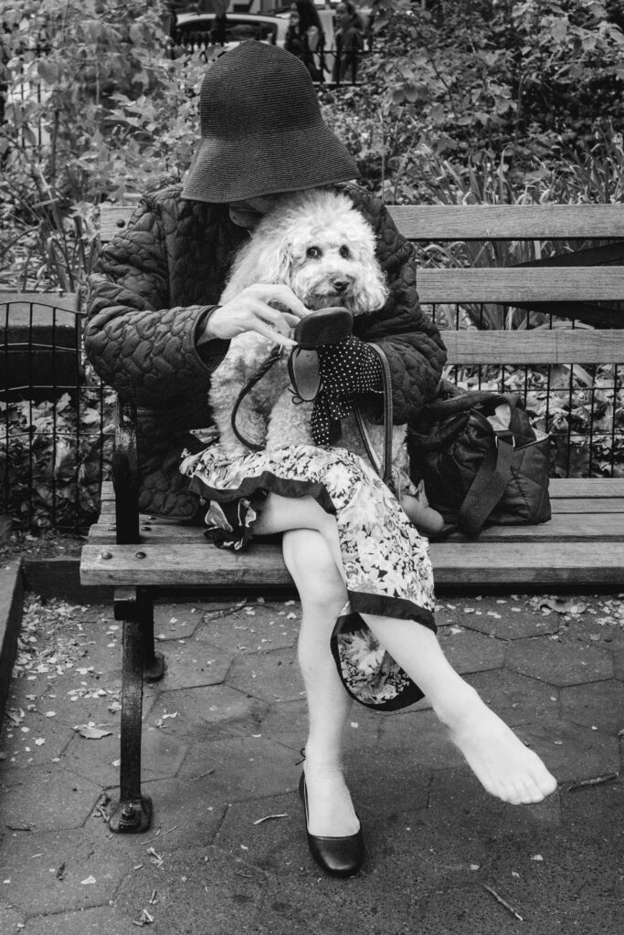 New York Short Stories