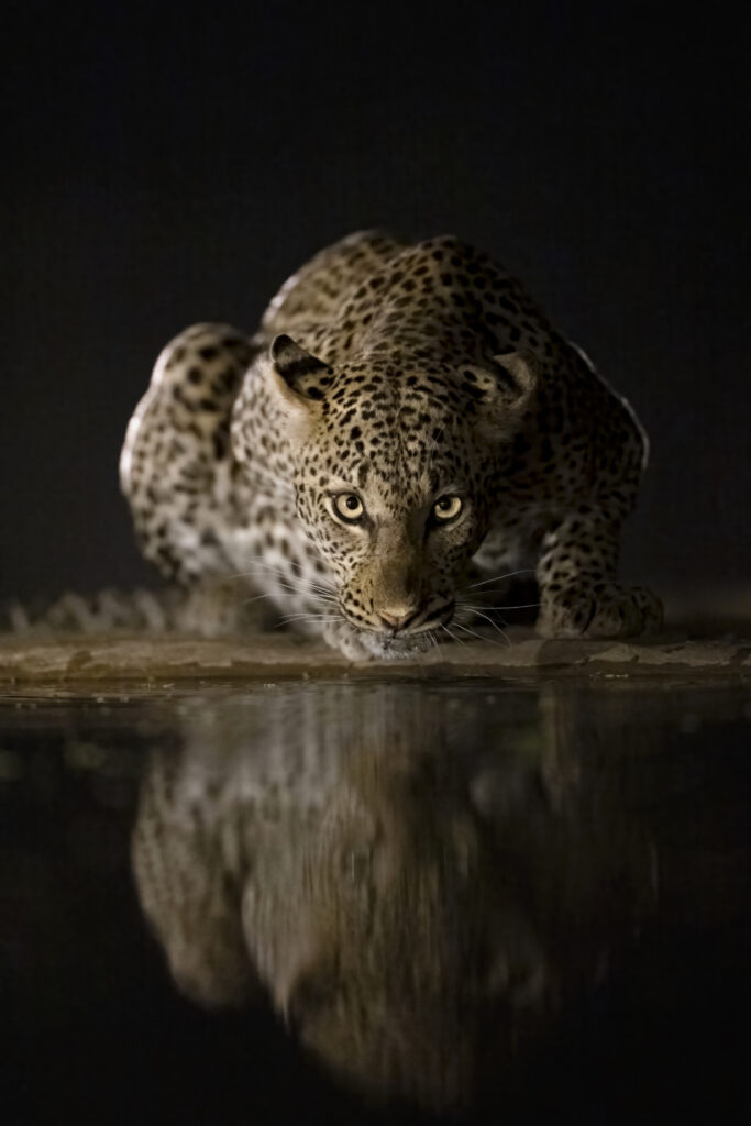 Reflections in the Night