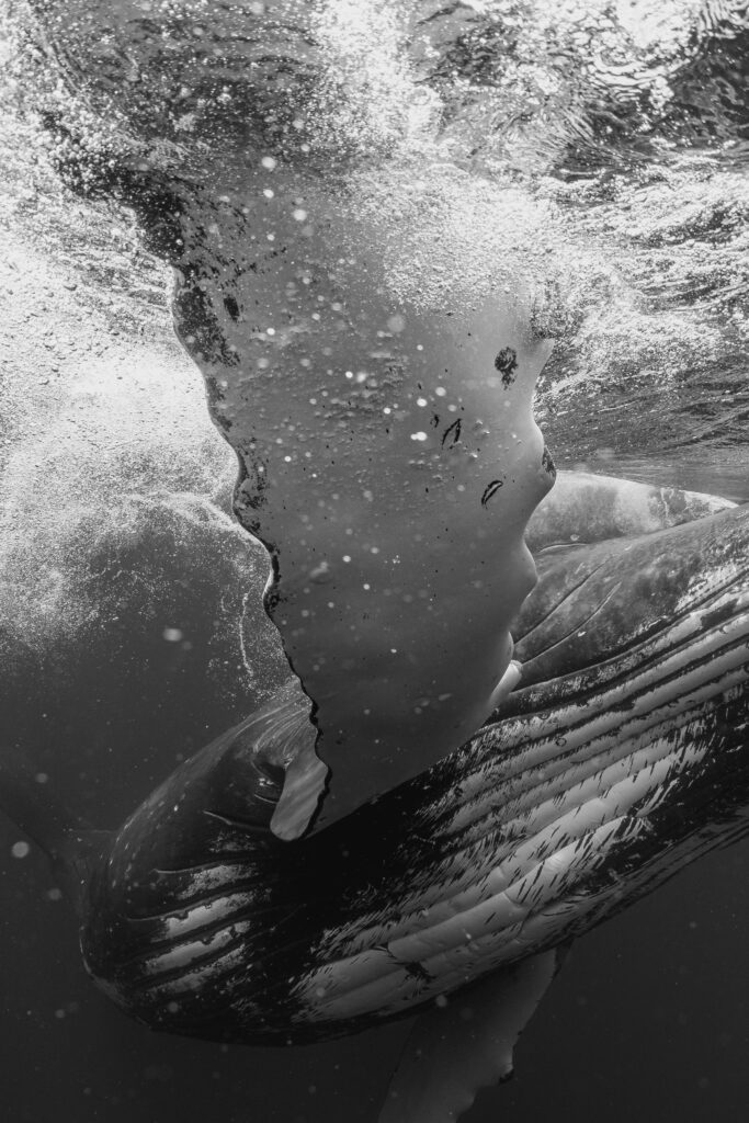 THE SEA IS WATCHING YOU