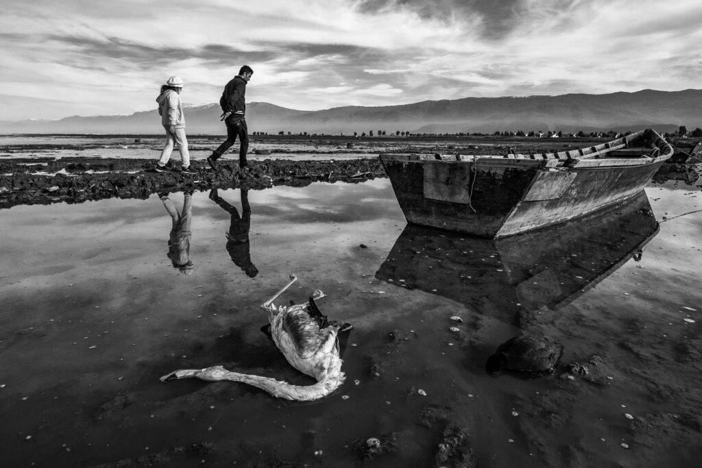 A Requiem for the Migrants