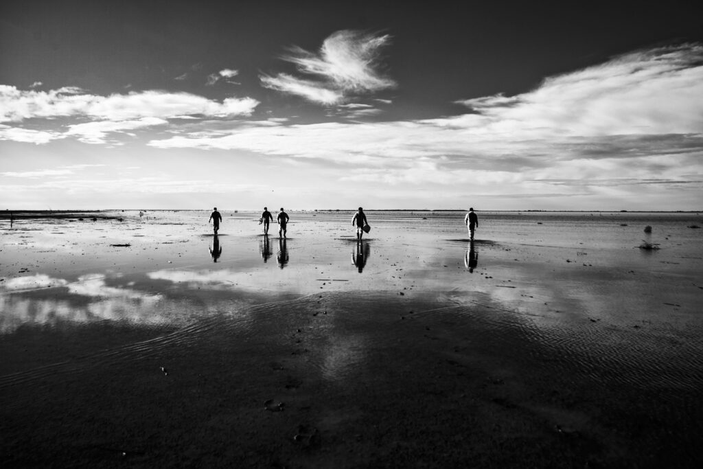 A Requiem for the Migrants