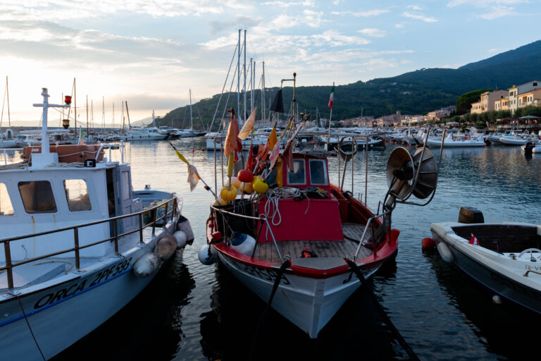 Elba Island-Return to the origins
