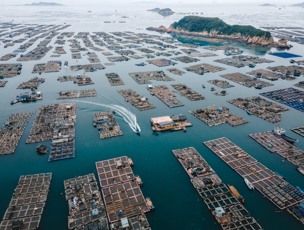 The Floating Village