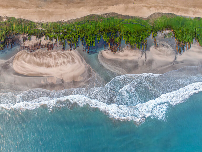 Tidal tree of Qiantang River