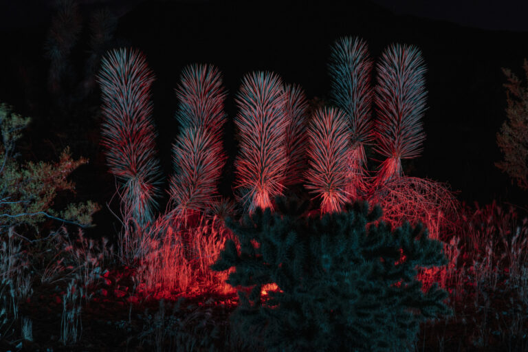 While The Stars Look Down