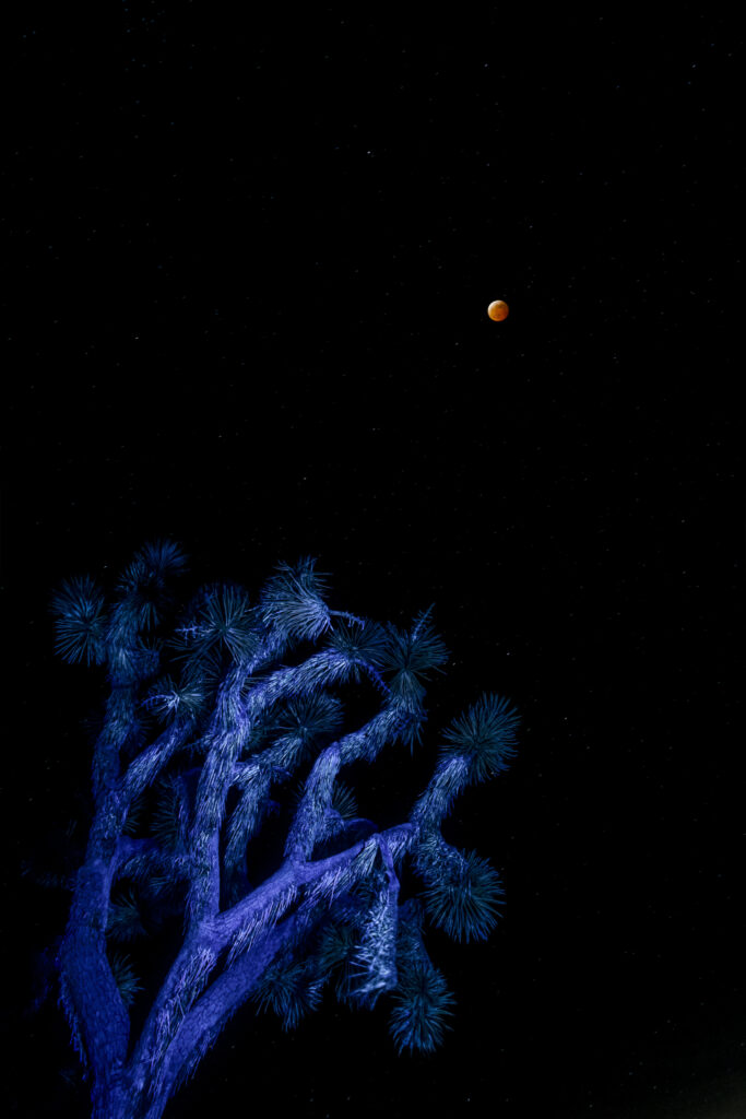 While The Stars Look Down