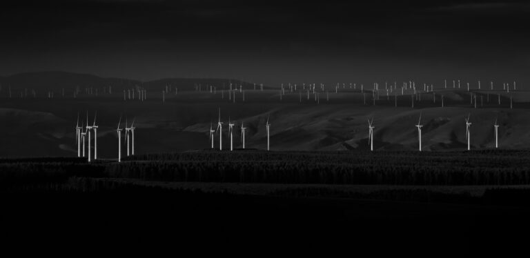 The notes of the earth