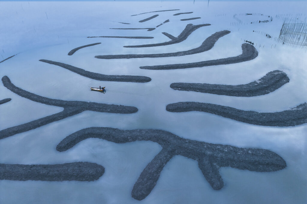 In the Belly of the Fish